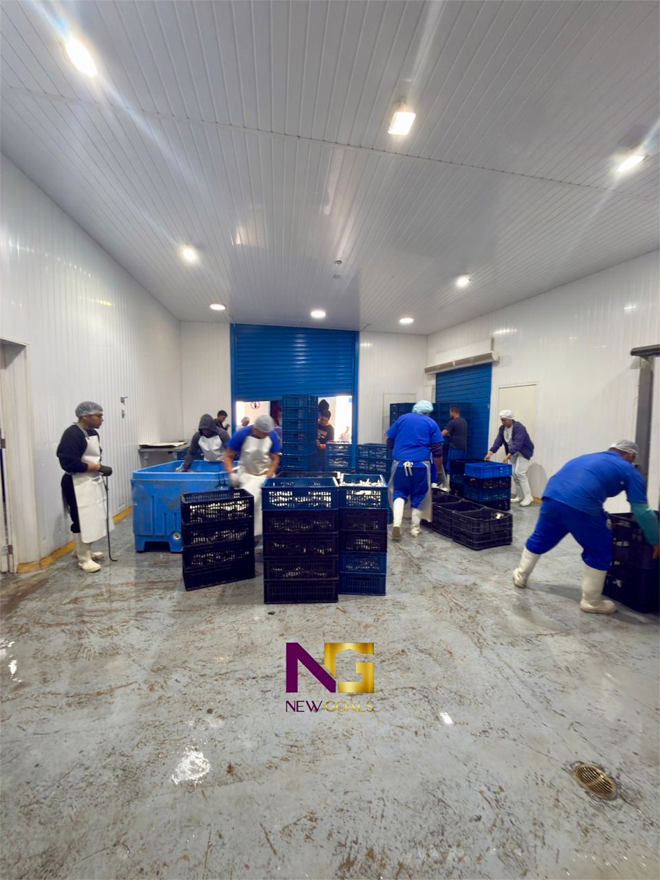 Fully-operational-industrial-plant-for-sale-P002-9