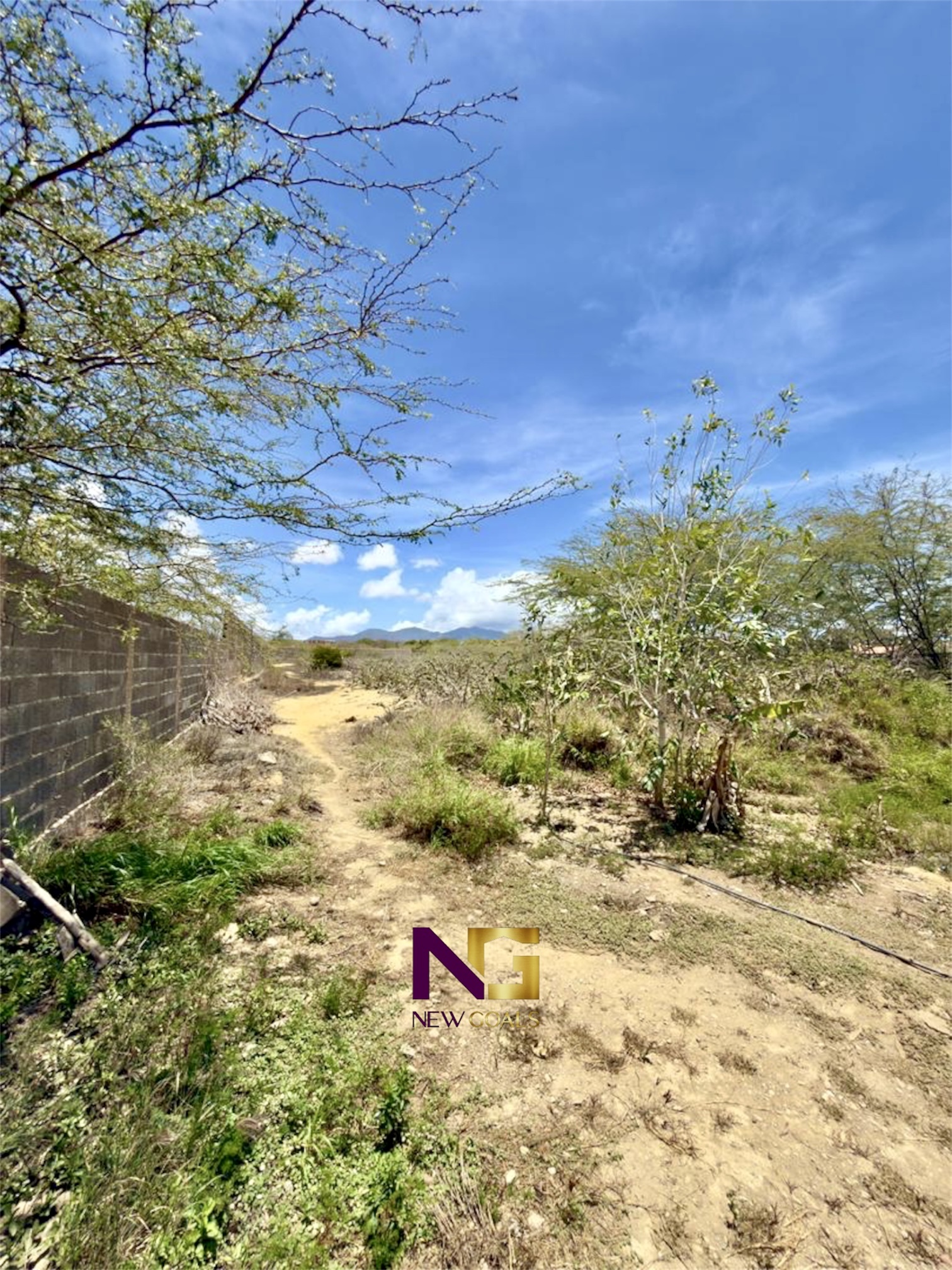Land-for-sale-on-the-main-avenue-of-El-Yaque-T-001-5